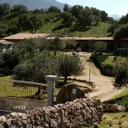 B&B Sa Mendula Ольена Экстерьер фото