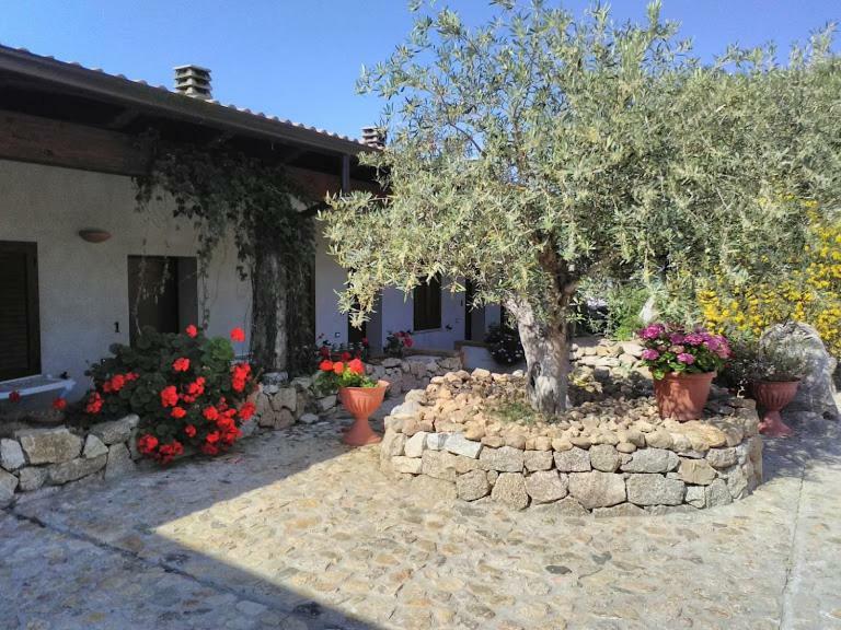 B&B Sa Mendula Ольена Экстерьер фото